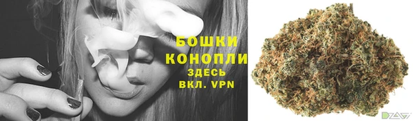 индика Верхнеуральск