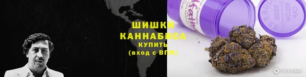 индика Верхнеуральск
