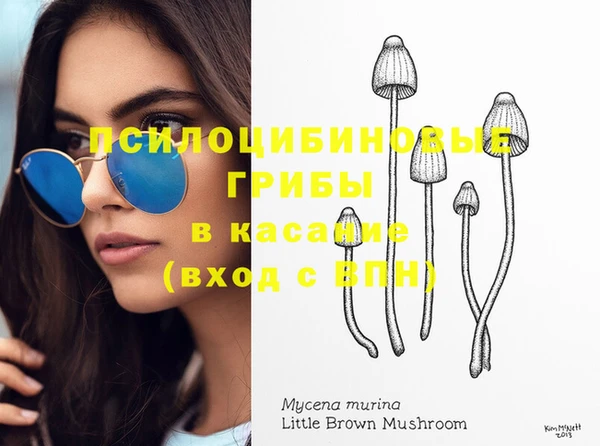 индика Верхнеуральск