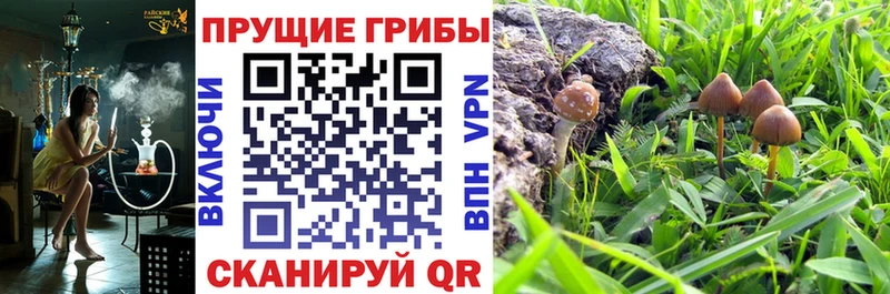 Псилоцибиновые грибы MAGIC MUSHROOMS Печора